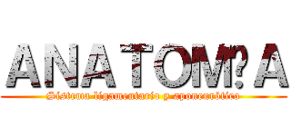 ＡＮＡＴＯＭÍＡ (Sistema ligamentario y aponeurótico)
