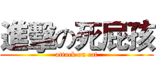 進擊の死屁孩 (attack on cat)