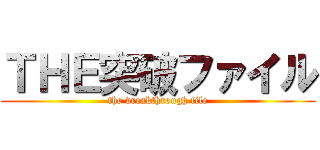 ＴＨＥ突破ファイル (the breakthrough file)