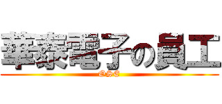 華泰電子の員工 (OSE)