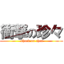 衝撃の珍々 ( shock on chen)