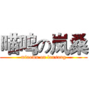 喵呜の岚桑 (miaowu on lansang)