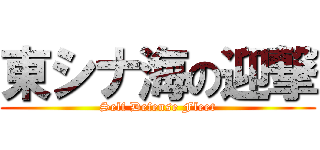 東シナ海の迎撃 (Self Defense Fleet)