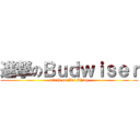 進撃のＢｕｄｗｉｓｅｒ (attack on Wei Shing)