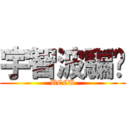 宇智波騙你 (UCCU)