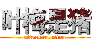 叶梅是猪 (attack on titan)