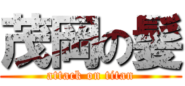 茂岡の髪 (attack on titan)