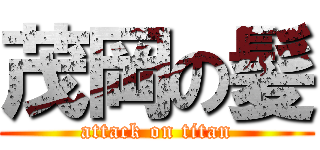 茂岡の髪 (attack on titan)