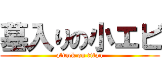 墓入りの小エビ (attack on titan)