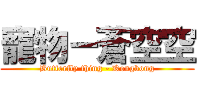 寵物－蒼空空 (Butterfly thing - Kongkong)