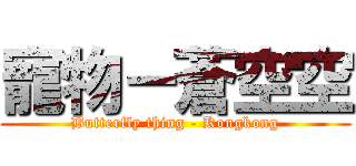 寵物－蒼空空 (Butterfly thing - Kongkong)