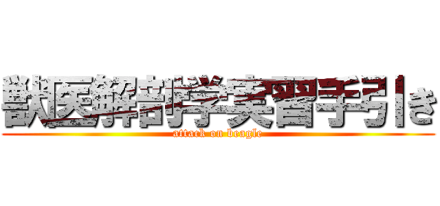 獣医解剖学実習手引き (attack on beagle)