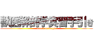 獣医解剖学実習手引き (attack on beagle)