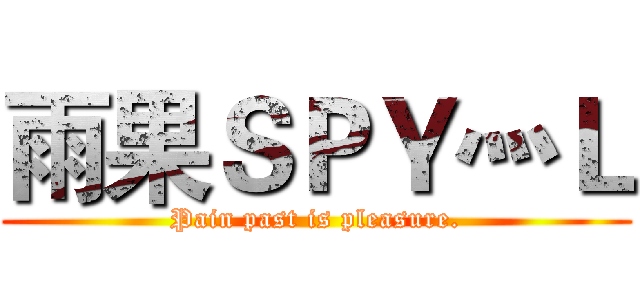 雨果ＳＰＹ灬Ｌ (Pain past is pleasure.)