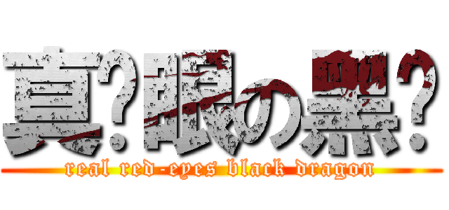 真红眼の黑龙 (real red-eyes black dragon)
