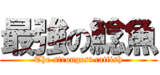 最強の鯰魚 (The strongest catfish)