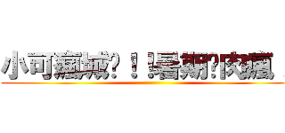 小可瘋城幫！！暑期烤肉瘋！！ ()