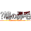 戇鳩の鼻毛 (ON99 BEMU)