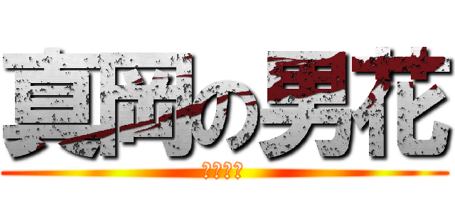 真岡の男花 (山代恵也)