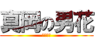 真岡の男花 (山代恵也)