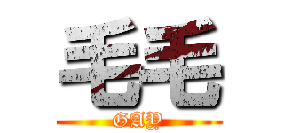 毛毛 (GAY)