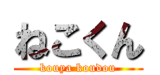 ねこくん (kouya koudou)