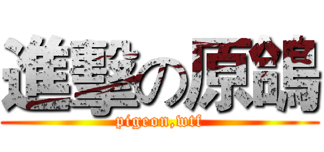 進擊の原鴿 (pigeon,wtf)
