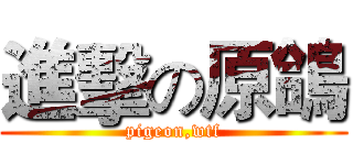 進擊の原鴿 (pigeon,wtf)