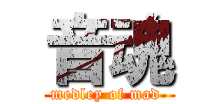 音魂 (medley of mad )