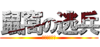 鼠窩の逃兵 (哈哈你看看你)