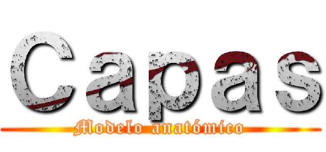 Ｃａｐａｓ (Modelo anatómico)