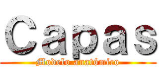 Ｃａｐａｓ (Modelo anatómico)