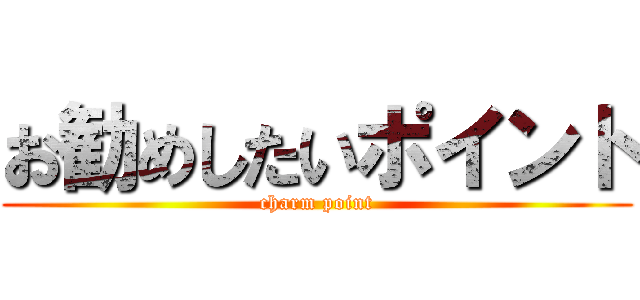 お勧めしたいポイント (charm point)