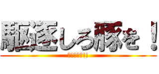 駆逐しろ豚を！ (消せぇぇぇ!!)