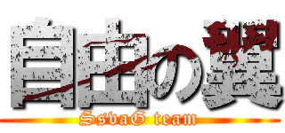 自由の翼 (SsvaG team)