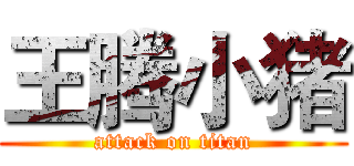 王腾小猪 (attack on titan)