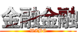 金融金融 (WZBC)