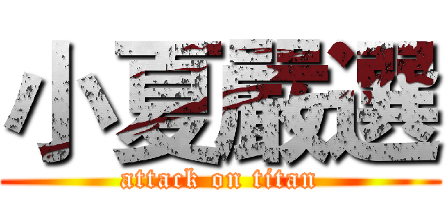 小夏嚴選 (attack on titan)