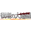 很潮の大嬸團 (我們要打敗左左右右)