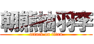 朝熊柚羽李 (attack on titan)