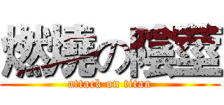 燃燒の陰莖 (attack on titan)