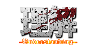 理解 (Understanding)