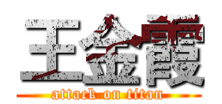 王金霞 (attack on titan)