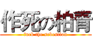 作死の柏青 (fuck the sebestion)