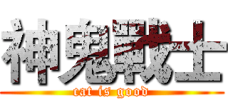 神鬼戰士 (cat is good)