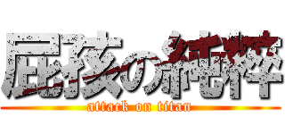 屁孩の純粹 (attack on titan)