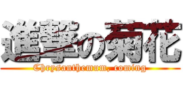 進撃の菊花 (Chrysanthemum, coming)