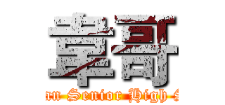 韋哥 (Nanshan Senior High School)