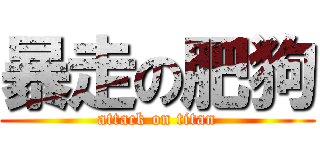 暴走の肥狗 (attack on titan)