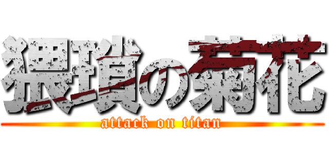 猥瑣の菊花 (attack on titan)